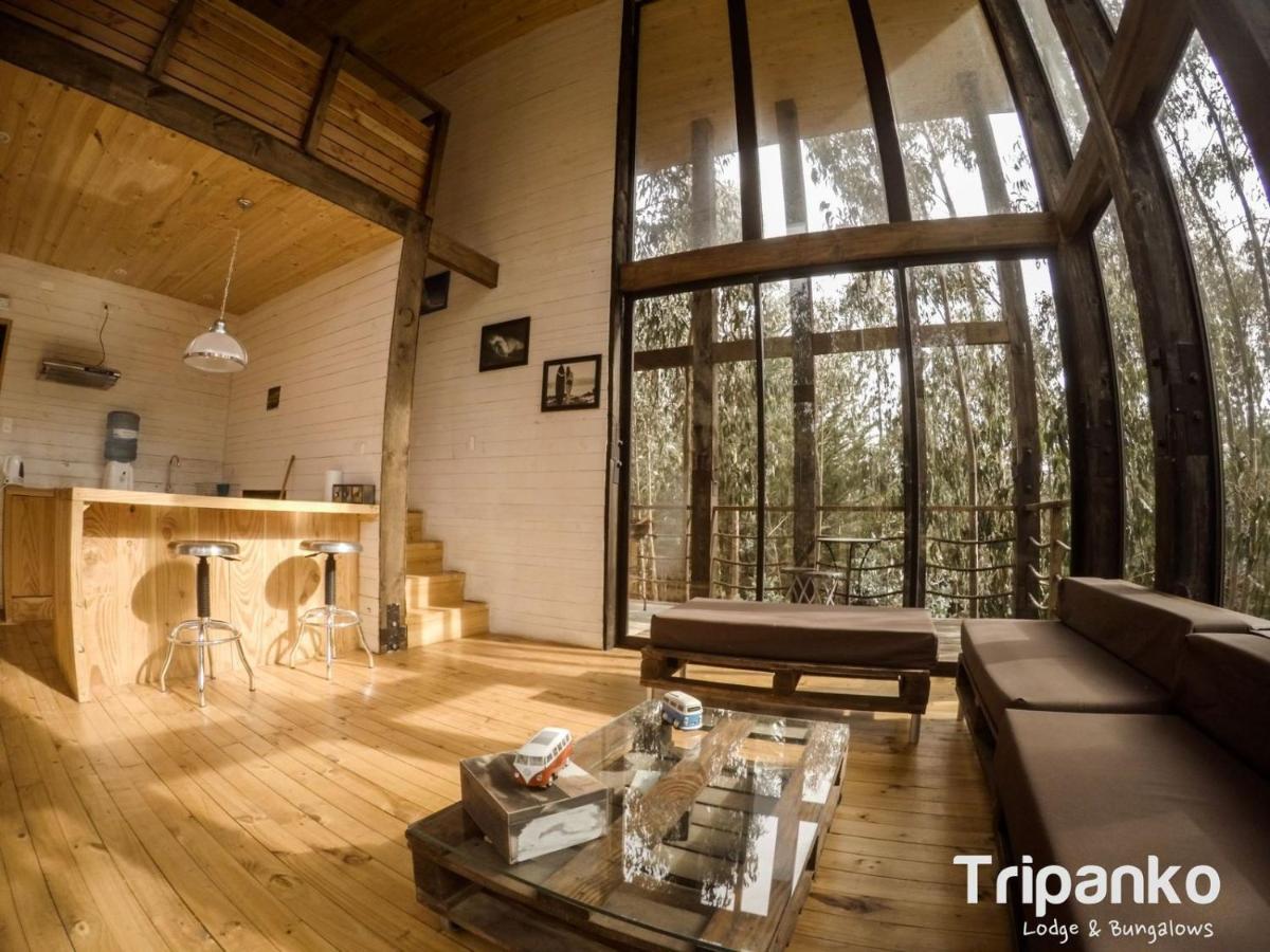 Tripanko Lodge & Bungalows Пичилему Экстерьер фото